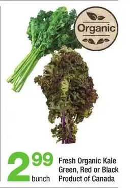 Highland Farms Fresh Organic Kale Green, Red or Black offer