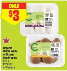 FreshCo Organic Whole White or Brown Mushrooms offer