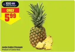 FreshCo Jumbo Golden Pineapple offer