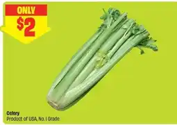 FreshCo Celery offer