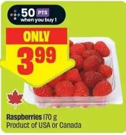 FreshCo Raspberries offer