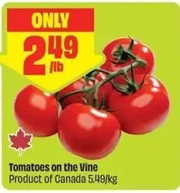 FreshCo Tomatoes on the Vine offer