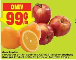 FreshCo Gala Apples offer