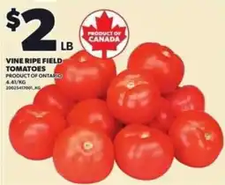 Loblaws Vine ripe field tomatoes offer
