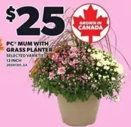 Loblaws Pc mum with grass planter offer