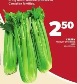 Loblaws Celery offer