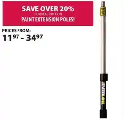 Co-op Leverlock paint extension poles offer