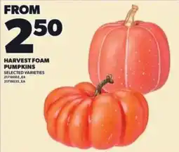 Loblaws Harvest Foam Pumpkins offer