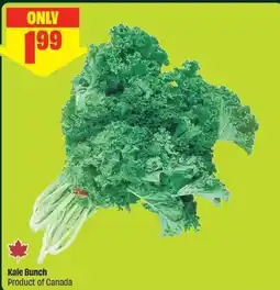 FreshCo Kale Bunch offer