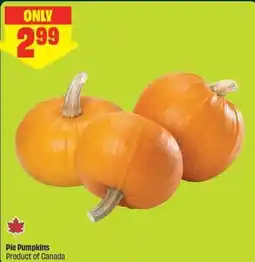 FreshCo Pie Pumpkins offer