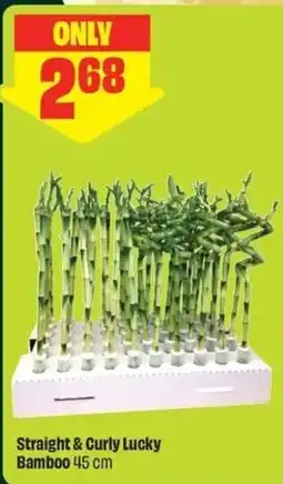 FreshCo Straight & Curly Lucky Bamboo offer