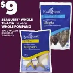 Loblaws Seaquest whole tilapia or whole pompano offer