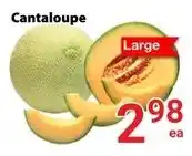 Nations Fresh Foods Cantaloupe offer