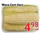 Nations Fresh Foods Waxy Corn offer