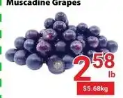 Nations Fresh Foods Muscadine Grapes offer