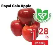 Nations Fresh Foods Royal Gala Apple offer