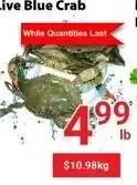 Live Blue Crab