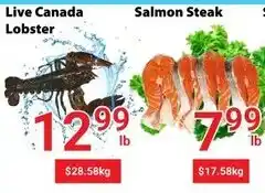 Nations Fresh Foods Live Canada Lobster offer