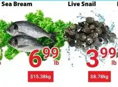 Nations Fresh Foods Sea Bream offer