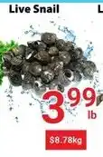 Nations Fresh Foods Live Snail offer