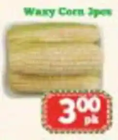 Waxy Corn Jp