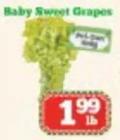 Baby Sweet Grapes