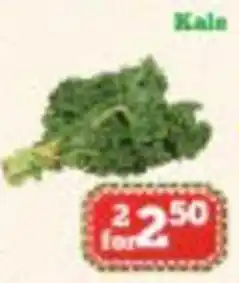Nations Fresh Foods Kale offer