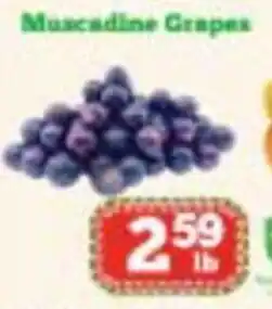 Nations Fresh Foods Muscadine Grapes offer