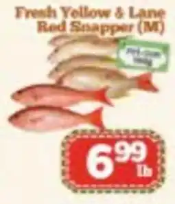 Nations Fresh Foods Fresh Yellow & Lane Red Snapper offer