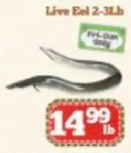 Nations Fresh Foods Live Eel offer