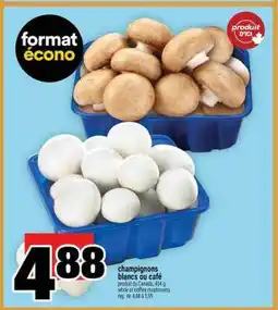 Super C Champignons blancs ou café offer