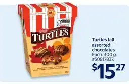 Walmart Nestle Turtles fall assorted chocolates offer