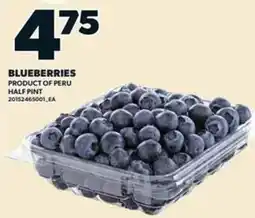 Loblaws Blueberries offer