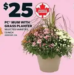 Loblaws Pc mum with grass planter offer