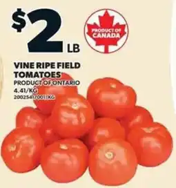 Loblaws vine ripe field tomatoes offer