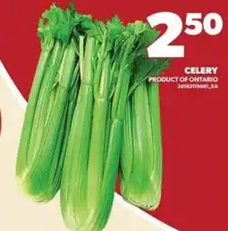 Loblaws Celery offer