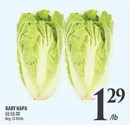 Al Premium Food Mart Baby Napa offer
