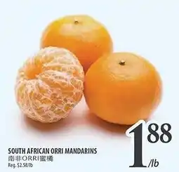 Al Premium Food Mart South African Orri mandarins offer