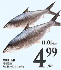 Al Premium Food Mart Milk Fish offer