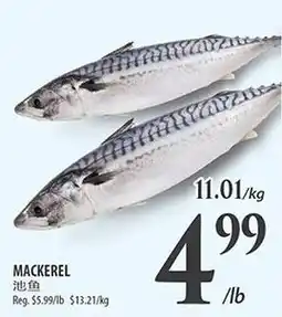 Al Premium Food Mart Mackerel offer