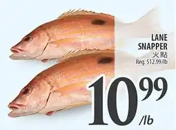 Al Premium Food Mart Lane snapper offer