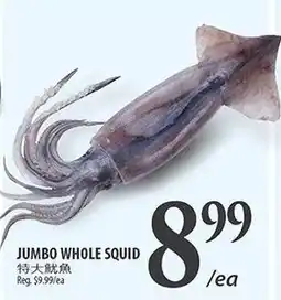 Al Premium Food Mart Jumbo whole squid offer