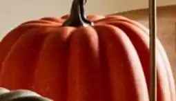 Walmart Pumpkin offer