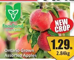 Starsky Ontario Grown Assorted Apples offer