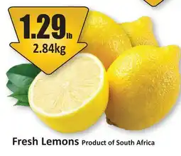 Starsky Fresh Lemons offer