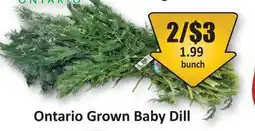 Starsky Ontario Grown Baby Dill offer