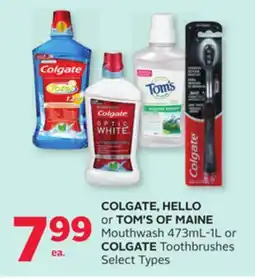 Rexall COLGATE, HELLO or TOM'S OF MAINE Mouthwash 473mL-1L or COLGATE Toothbrushes offer