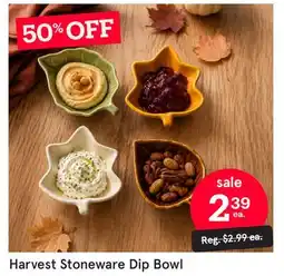 Kitchen Stuff Plus Harvest Stoneware Dip Bowl offer