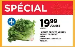 Kim Phat GREEN CURLY LETTUCES offer