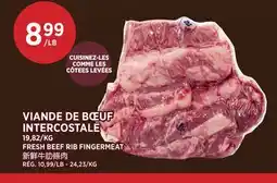 Kim Phat FRESH BEEF RIB FINGER MEAT offer